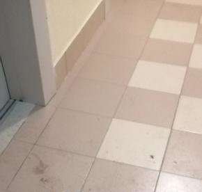 Грязь стала новым «жильцом» подъезда дома на Долгопрудной